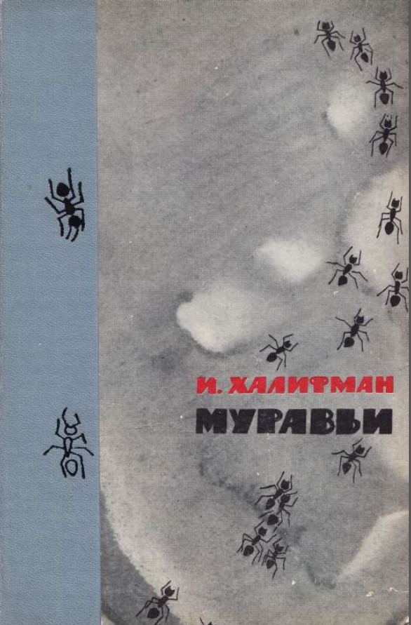 Муравьи - Халифман И.А.