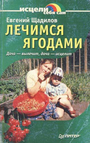 Лечимся ягодами. Дача — вылечит, дача — исцелит. Щадилов Е.