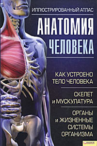 Анатомия человека.Иллюстрированный атлас - Адольфо Кассан