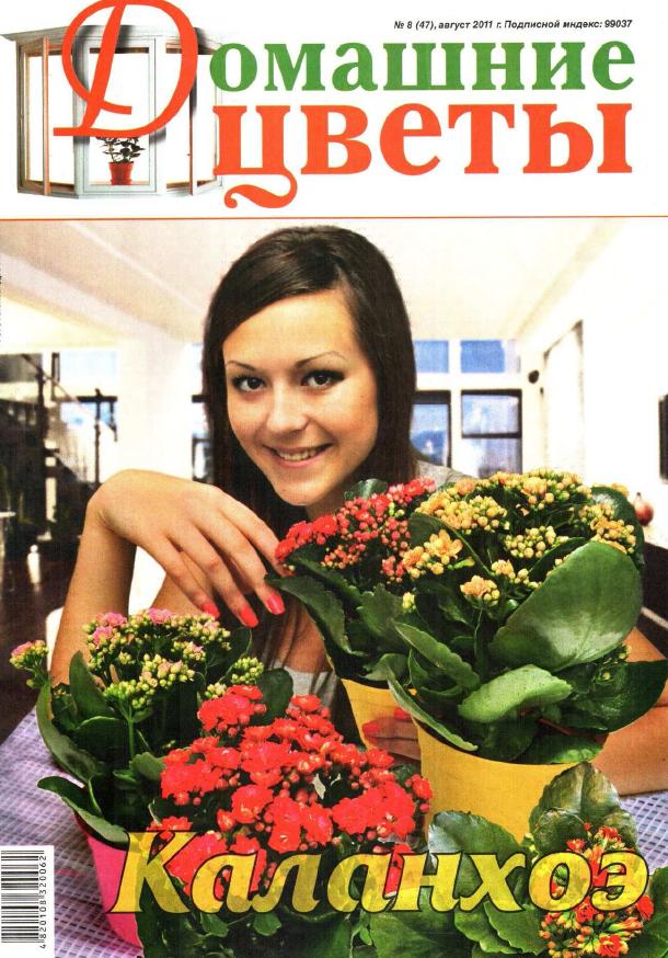 Домашние цветы №8 2011