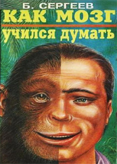 Б. Сергеев - Как мозг учился думать