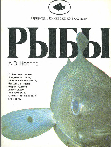 Природа Ленинградской области. Рыбы - Неелов А. В.