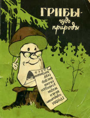 Грибы - чудо природы - Федяев В.